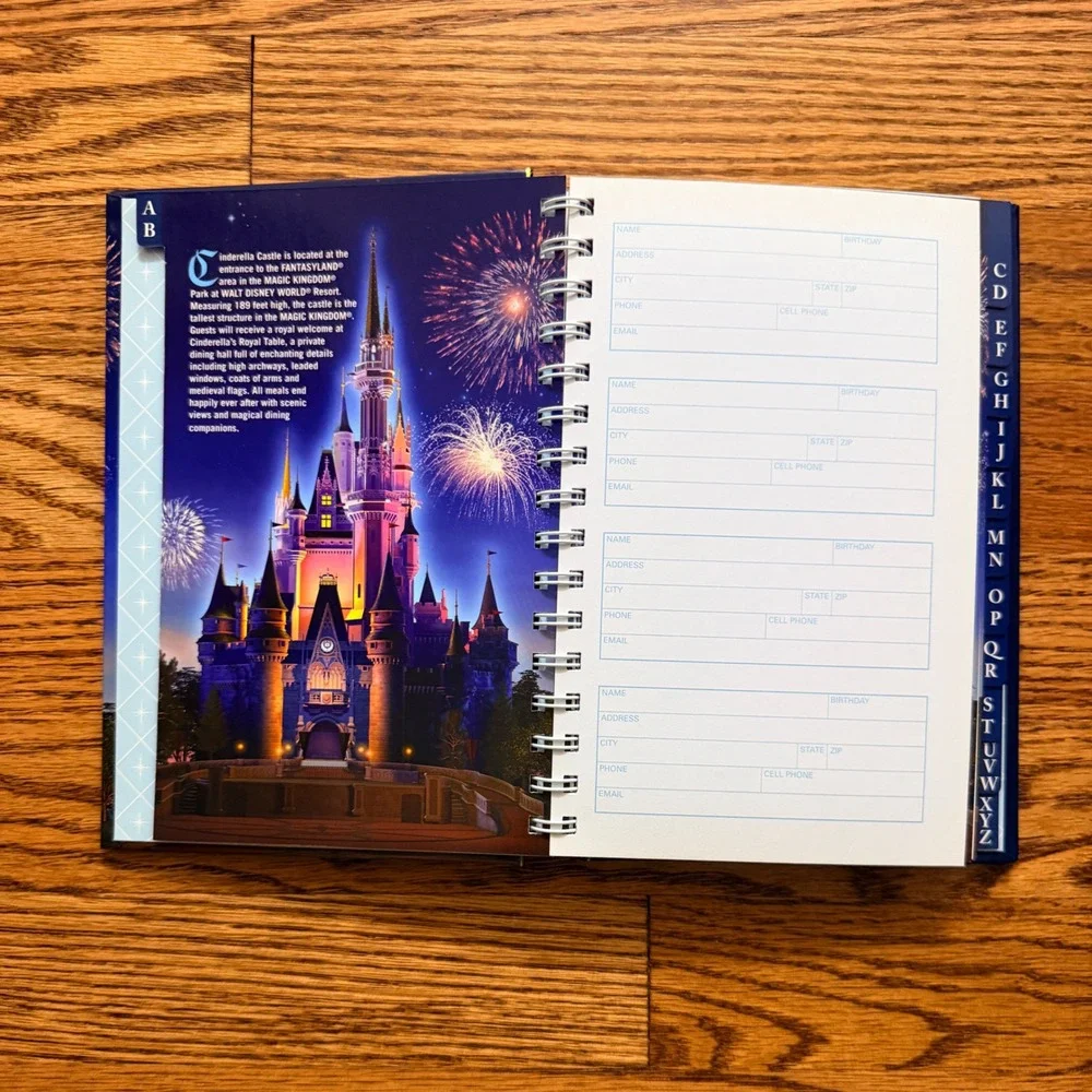 Disney World Cinderella Castle Address Book and Disney Villains Spiral Notebook
